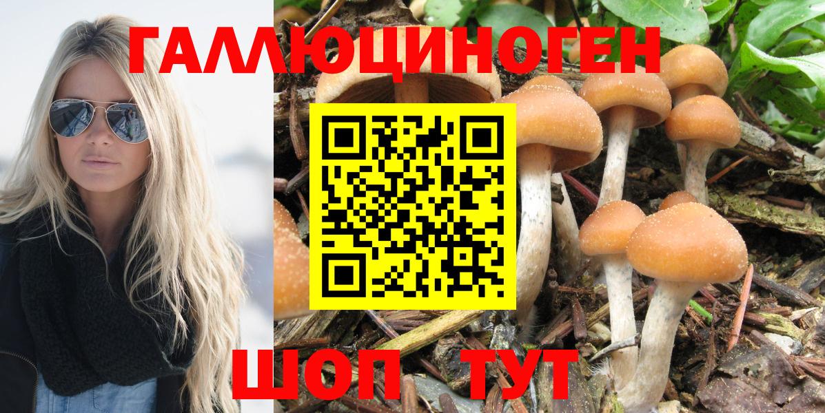 Псилоцибиновые грибы мухоморы Балтийск