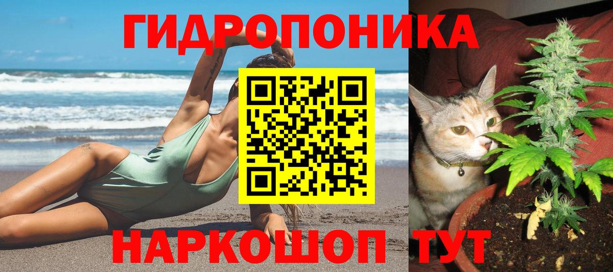 Конопля White Widow  Канабис MAZAR  Вход с VPN  МАРИХУАНА VHQ  Балтийск  Бошки Шишки OG Kush 
